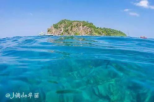 奇妙香蕉之旅